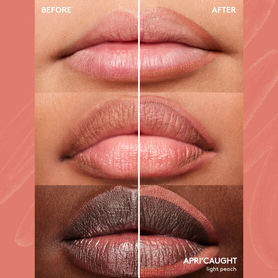 L�PIS LABIAL TRACED OUT LIP LINER